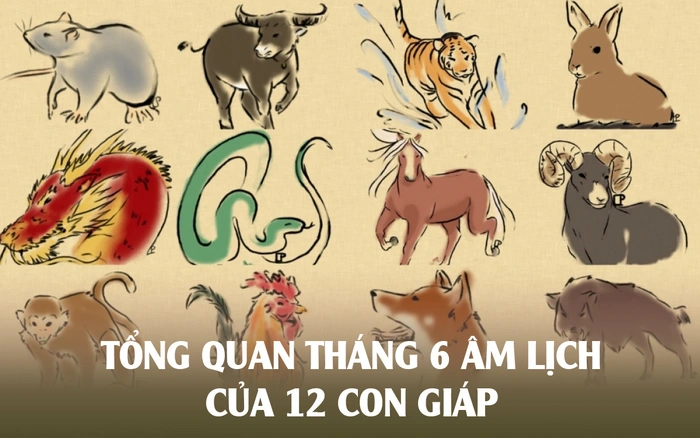Cơ hội trong tháng 6